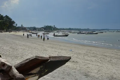 DSC_5470 (Large).JPG